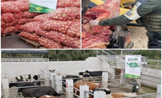 Autoridades incautaron más de $107 millones en productos agropecuarios en zonas de frontera