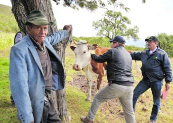 Advierten en Boyacá  panorama oscuro en sector agropecuario y piden reactivación gradual