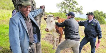 Advierten en Boyacá  panorama oscuro en sector agropecuario y piden reactivación gradual