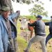 Advierten en Boyacá  panorama oscuro en sector agropecuario y piden reactivación gradual