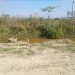 57 familias afectadas por el retraso en la construcción del Sendero de Playitas
