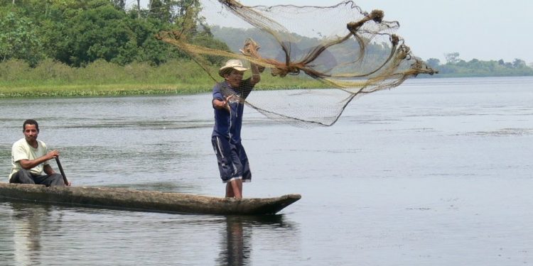 Inició el periodo de veda en el departamento de Arauca