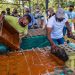 Saravena se ‘endulza’ con panela