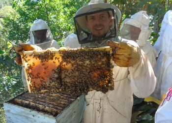 Desde Tame se exportarán 5 toneladas de miel de abeja al Ecuador