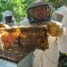 Desde Tame se exportarán 5 toneladas de miel de abeja al Ecuador