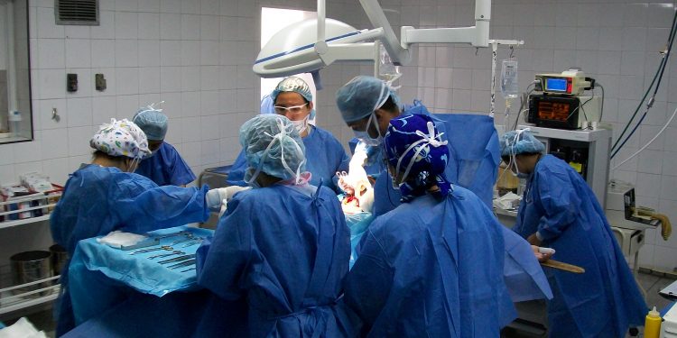 A pesar de que el país ha estado en emergencia se han logrado realizar 320 trasplantes de órganos en Colombia