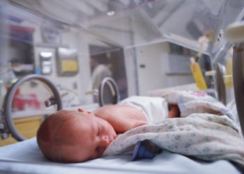 Bebés pueden ser vistos por sus mamás solo a través de tablets.