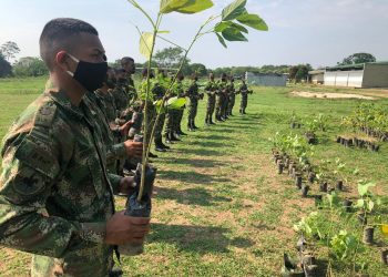 Más de 25 mil árboles han sido sembrados por el Ejército en el departamento de Arauca