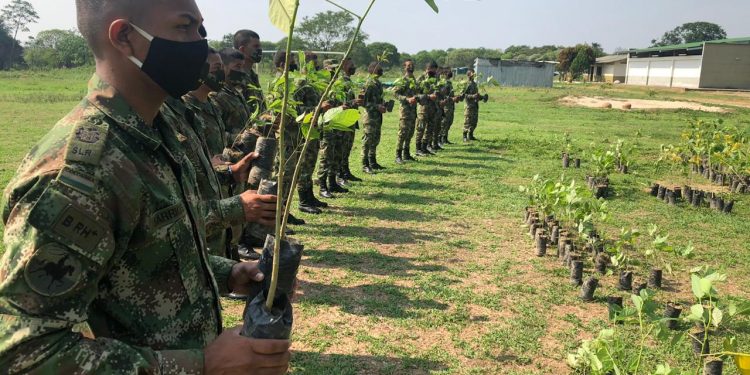Más de 25 mil árboles han sido sembrados por el Ejército en el departamento de Arauca