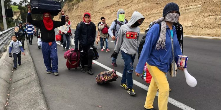 Alrededor de 72.000 migrantes han regresado a Venezuela: Felipe Muñoz, Gerente de Frontera