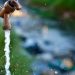 Araucanos pueden beneficiarse del subsidio para el pago del servicio de agua rural: Viceministro de Agua