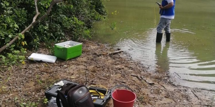 Corporinoquia realizó la toma de muestras de agua donde se reportó la muerte de varias toninas
