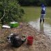 Corporinoquia realizó la toma de muestras de agua donde se reportó la muerte de varias toninas