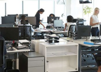 Prácticas profesionales serán tenidas en cuenta como experiencia laboral