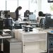 Prácticas profesionales serán tenidas en cuenta como experiencia laboral