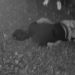 Con disparos fue asesinado un joven en Arauca