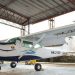 Piloto araucano muere en accidente aéreo  en el Amazonas