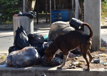 Comunidad del barrio Córdoba denunció demoras en la recolección de las basuras