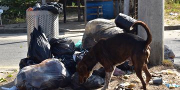 Comunidad del barrio Córdoba denunció demoras en la recolección de las basuras