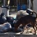 Comunidad del barrio Córdoba denunció demoras en la recolección de las basuras
