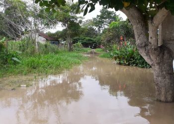 La Reinera en Arauquita, año a año bajo el agua