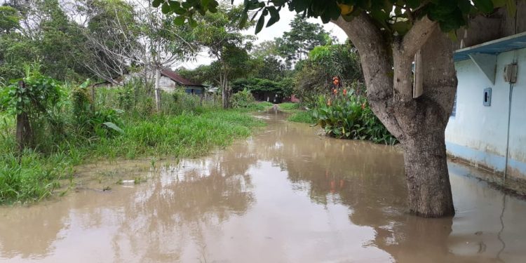 La Reinera en Arauquita, año a año bajo el agua