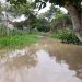 La Reinera en Arauquita, año a año bajo el agua