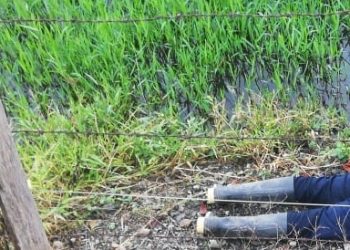 Hombre fue asesinado y dejado a orillas de una carretera en Arauquita