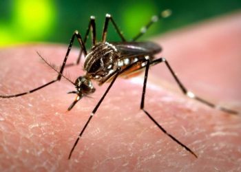 UAESA reporta la reducción en casos de dengue en el departamento de Arauca