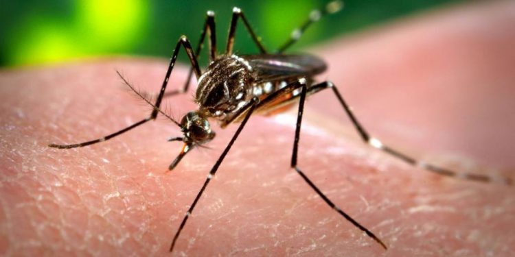 UAESA reporta la reducción en casos de dengue en el departamento de Arauca