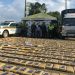 Autoridades incautaron una tonelada de marihuana en Arauquita