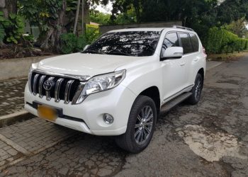 Guerrilla hurtó vehículo de la UNP del Alcalde de Puerto Rondón