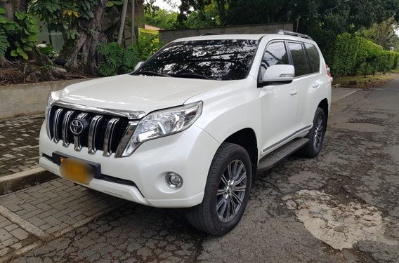 Guerrilla hurtó vehículo de la UNP del Alcalde de Puerto Rondón