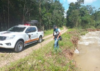 Vereda de Tame en peligro de quedar incomunicada por creciente del río Purare