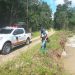 Vereda de Tame en peligro de quedar incomunicada por creciente del río Purare