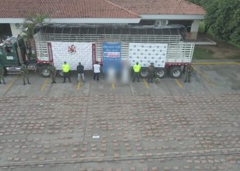 Autoridades incautaron una tonelada de marihuana cuando era movilizada en un camión