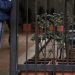 USO Arauca denunció desmejoras en condiciones laborales a trabajadores de la vigilancia