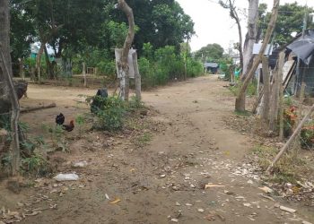 ¿Cómo es que no ha llegado el Covid-19 al asentamiento El Refugio?
