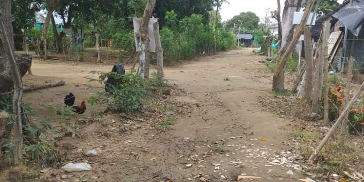 ¿Cómo es que no ha llegado el Covid-19 al asentamiento El Refugio?