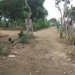 ¿Cómo es que no ha llegado el Covid-19 al asentamiento El Refugio?