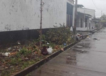 Denuncian tala de árboles en el barrio Unión de Arauca