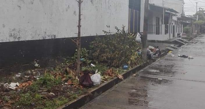 Denuncian tala de árboles en el barrio Unión de Arauca