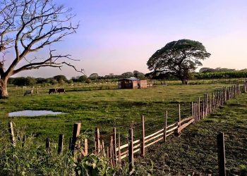 Masacre en Arauca: Asesinan a 5 personas en zona rural