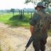 Cuatro militares venezolanos y 15 guerrilleros mueren en Apure tras enfrentamiento