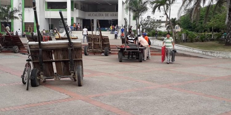 Carromuleros esperan apoyo del Alcalde para la reconversión de sus labores