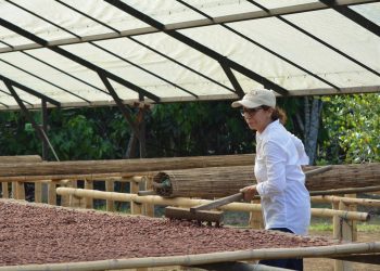 Arauquita le apuesta a la reconstrucción de su territorio cosechando oportunidades