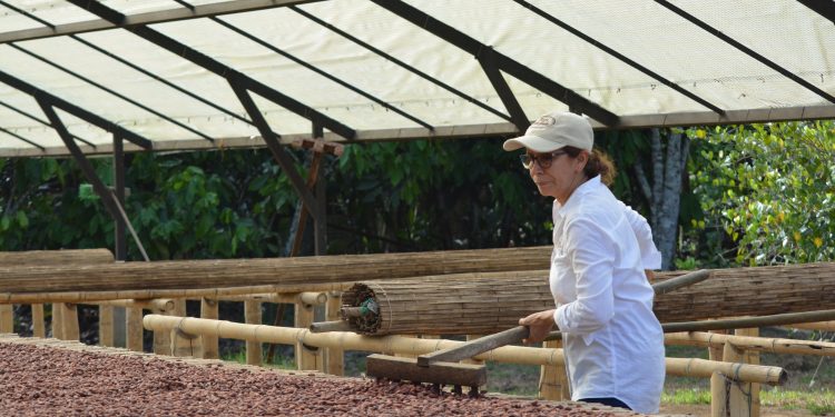 Arauquita le apuesta a la reconstrucción de su territorio cosechando oportunidades