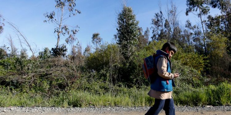 Cerca de 700 estudiantes habrían abandonado sus clases durante la pandemia en el departamento