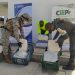 Autoridades incautaron 310 kilos de queso de contrabando