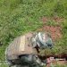 Ejército Nacional desarticuló artefactos explosivos en Saravena y Fortul